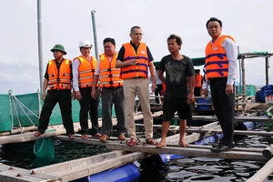 Phú Yên buộc toàn bộ người nuôi thủy sản vào bờ tránh bão
