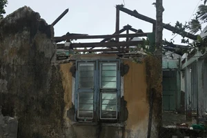 Hình ảnh thiệt hại do bão số 9 gây ra ở Phú Yên