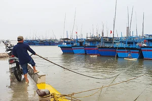 Phú Yên cấm biển từ 10g ngày 9-11 để ứng phó bão số 12