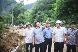 Bình Định chuẩn bị sơ tán người ở các vùng có nguy cơ sạt lở