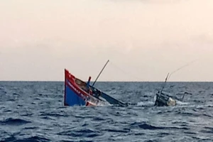 2 ngư dân mất tích do tàu cá bị sóng đánh chìm