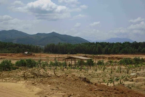 Bình Định: Khai thác đất sai vị trí, 1 công ty bị phạt nặng