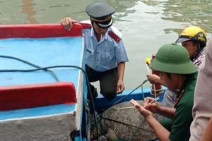 Ngư dân thả lưới dính rùa xanh, giao nộp để thả về biển