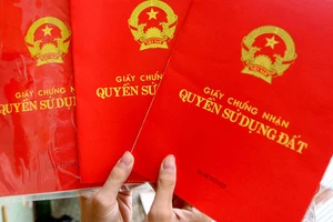 Phú Yên: Khởi tố 7 cựu cán bộ sai phạm đất đai