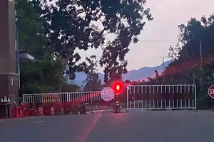 Tạm đình chỉ 1 chủ tịch xã ở Bình Định vì để dịch lây lan