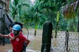 1 phụ nữ bị lũ cuốn chết khi đi làm rẫy