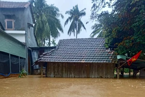 Hàng ngàn ngôi nhà ở Bình Định bị ngập, có nơi chìm sâu hơn 1 m