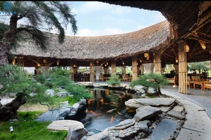 Phú Yên có nhà hàng tre diện tích lớn nhất Việt Nam