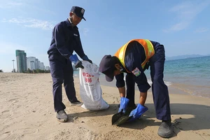 Dầu vón cục dạt vào đen kịt bờ biển Nha Trang