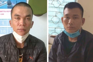 Tạm giữ hai người lái xe tải đi trộm chó liên tỉnh