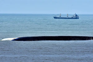 Hai tàu hàng va nhau, 1 thuyền viên mất tích