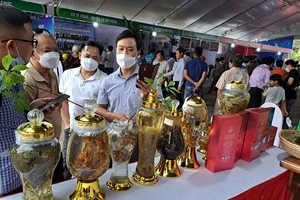 Kon Tum phát triển sâm Ngọc Linh thành sản phẩm du lịch tỉnh nhà