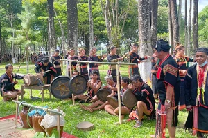 Quy hoạch, xây dựng Gia Lai thành điểm đến di sản