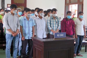 Phạt tù cựu hạt trưởng kiểm lâm để lâm tặc mở đường phá rừng 