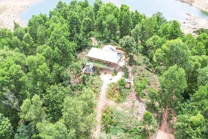 Vợ chánh án TAND huyện lấn chiếm, làm nhà trên đất rừng phòng hộ