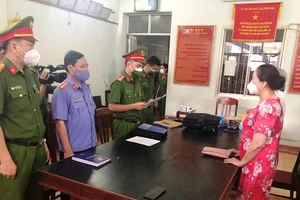 Truy tố 2 doanh nhân trốn thuế vụ bán sỉ 262 lô đất