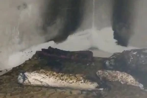 Con gái chết cháy, cha bỏng nặng trong phòng ngủ có mùi xăng