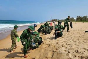 Dầu vón cục tràn vào bờ biển Tuy Hòa