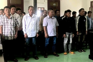 27 bị cáo lãnh án vụ phá rừng trồng keo ở Phú Yên