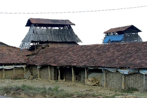 Bình Định cơ bản xóa bỏ lò gạch thủ công 