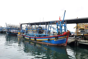 Bình Định tiếp tục nỗ lực gỡ cảnh báo thẻ vàng EC