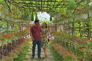 Phú Yên thí điểm xây dựng các mô hình du lịch nông thôn