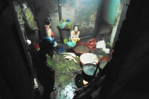 Xử phạt 'kịch khung' các chủ bò bơm nước vào gia súc