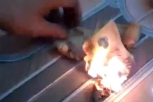 Đà Nẵng xác minh thông tin khách Trung Quốc đốt tiền Việt tại quán bar