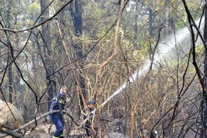 Chùm ảnh: Gian nan cứu hỏa giữa rừng, gần đỉnh đèo Hải Vân