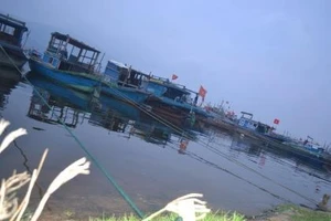 Hai tàu cá của Đà Nẵng bị chìm do bão số 4