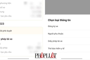 Người dân bất ngờ vì được cấp giấy phép lái xe trên VNeiD chỉ sau 4 ngày đổi online