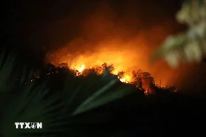 Nguyên nhân gây ra vụ cháy rừng dữ dội tại Tuyên Quang