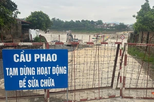 Nước sông Thao dâng cao, cầu phao Phong Châu lại tạm dừng hoạt động