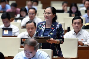 Đại biểu Nguyễn Thị Lệ (đoàn TP.HCM) phát biểu tại hội trường.