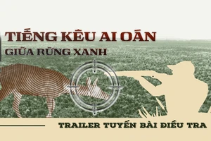 Trailer điều tra: Tiếng kêu ai oán giữa rừng xanh