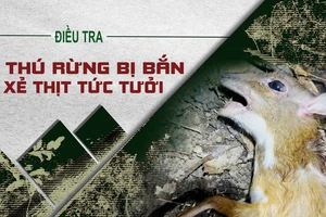 Video điều tra: Thú rừng Vườn quốc gia Cát Tiên bị bắn trộm, xẻ thịt