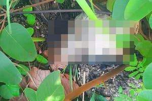 Lên núi hái nấm, hoảng hồn phát hiện bộ xương người 