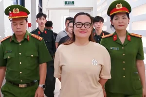 Vụ Hoàng Hường bị khởi tố: Làm từ thiện nhiều thì có được giảm nhẹ?