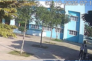 Giáo viên bị đồng nghiệp hành hung vì nhắc đỗ xe trong sân trường