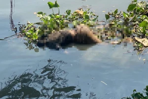 Công an TP.HCM tìm thân nhân nạn nhân tử vong, túi quần có số 233