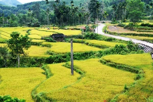 Nghiên cứu phát triển sản phẩm du lịch vùng núi tỉnh Bình Định