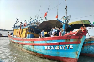 Bình Định: Ba cha con trên một tàu cá bị mất liên lạc với đất liền nhiều ngày