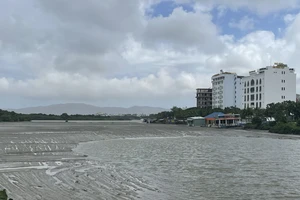 Bình Định: Bùn thải tràn ra khắp nơi, người dân thiệt hại nặng 