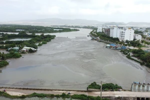 Ngày mai, bắt đầu xử lý bùn thải ở Quy Nhơn 