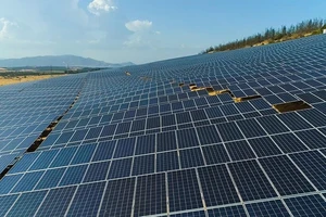 Nhiều doanh nghiệp mua bán điện mặt trời không khai thuế 