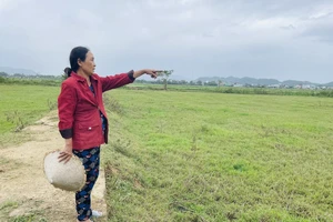 Ruộng đồng phải bỏ hoang vì thi công quốc lộ 19