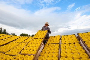 Làng nghề bún bánh An Thái dệt mùa vàng bên dòng sông Kôn