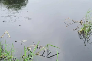 Sở TN&MT tỉnh Bình Định kiểm tra ô nhiễm tại khu xử lý chất thải rắn TP Quy Nhơn