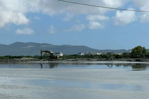 Bình Định yêu cầu Công ty CP Cảng Quy Nhơn khôi phục đa dạng sinh học