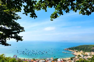 Xuân về trên xã đảo Nhơn Châu, Bình Định